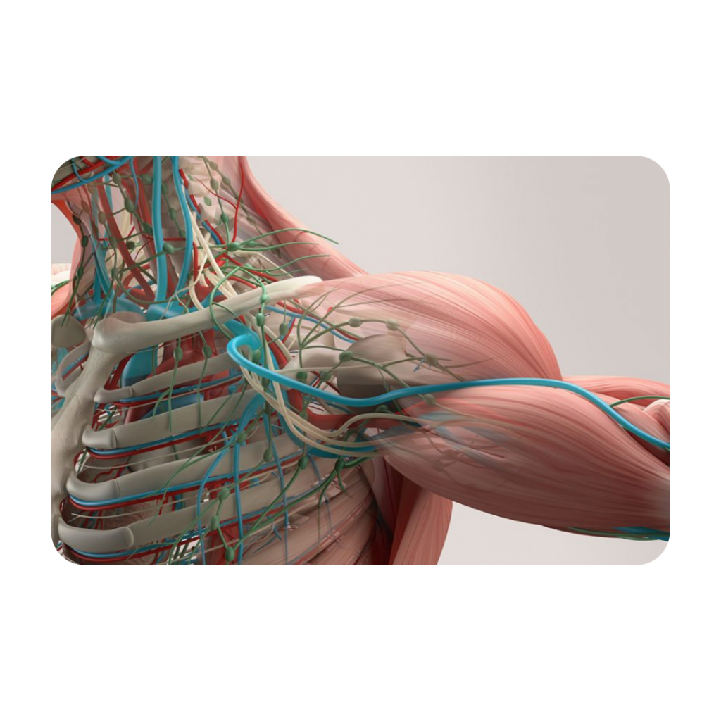 White Elegant Romantic Photo Wedding Thank You Card 3